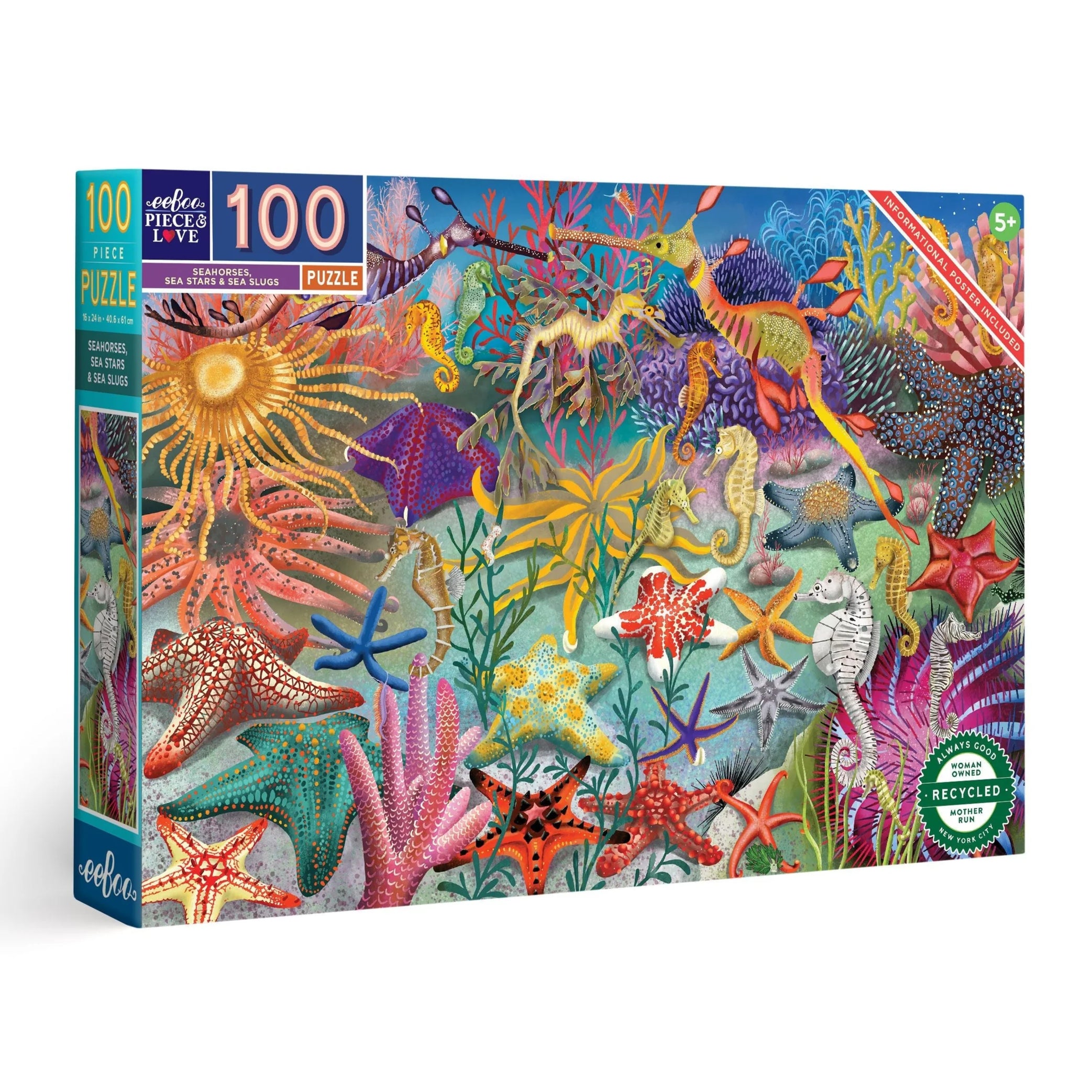 Seahorses, Sea Stars & Sea Slugs Puzzle (100 pc)