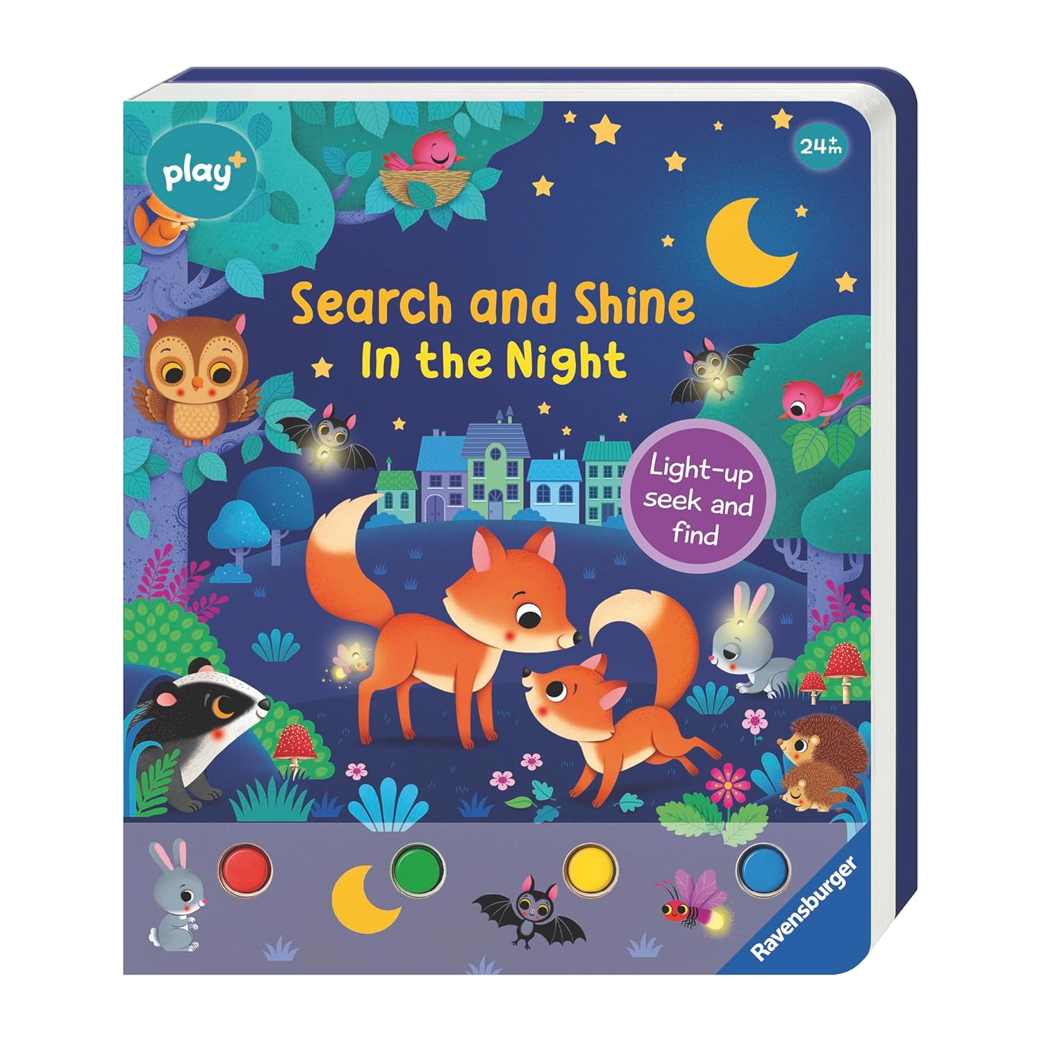 Search and Shine: In the Night