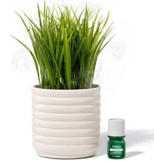 Lifelines Planter Diffuser