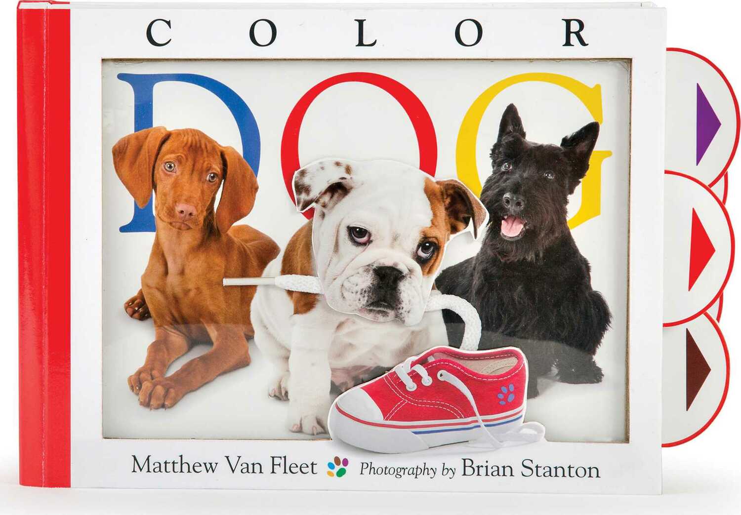 Color Dog