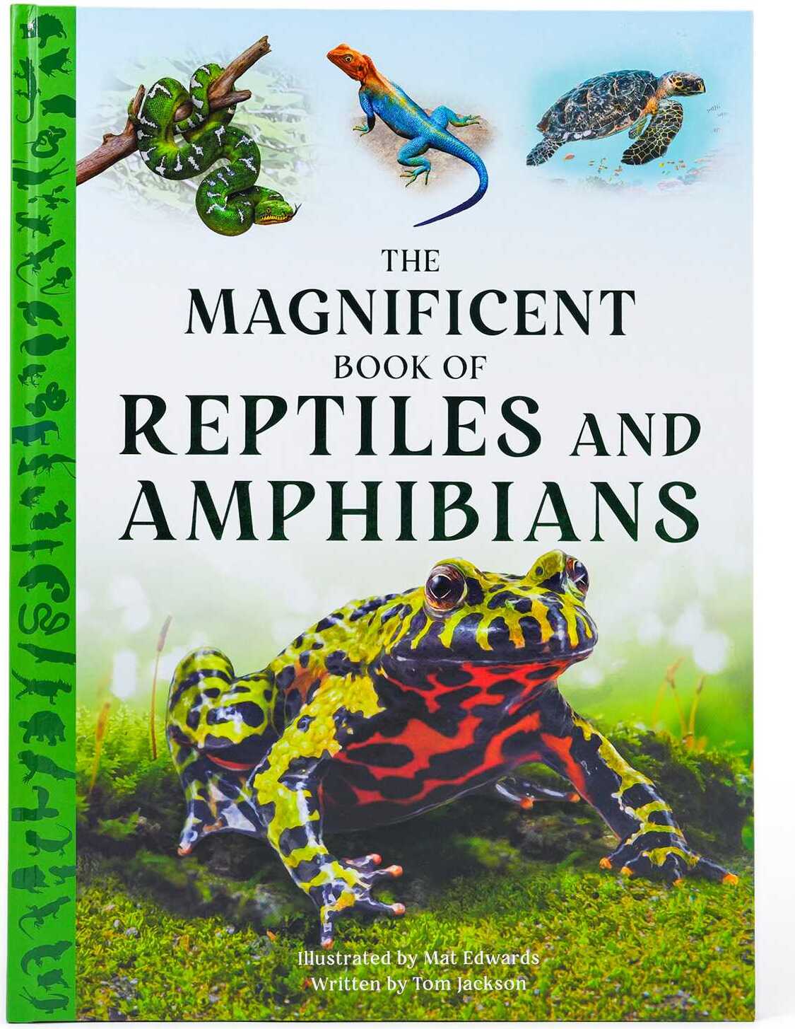 The Magnificent Book of Reptiles and Amphibians