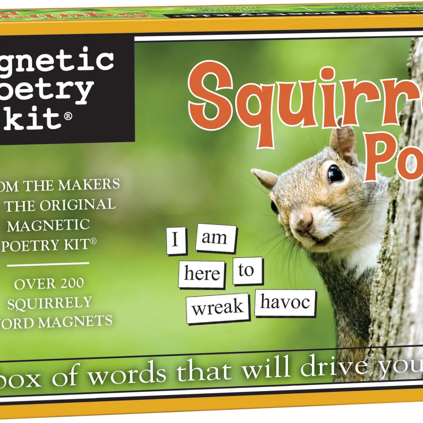 Squirrel Magnetic Poetry Kit