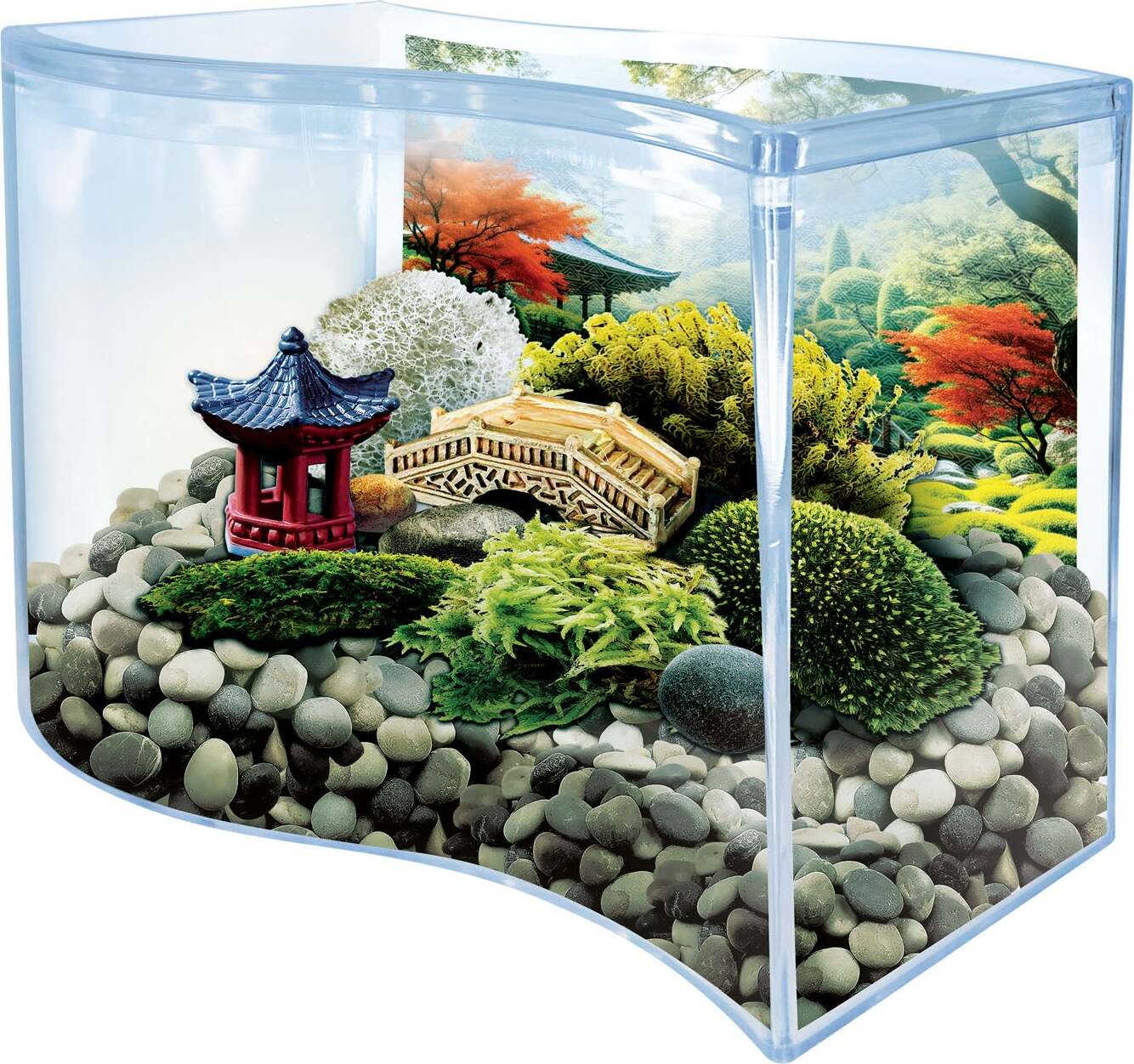Bonsai Moss & Rock Garden Terrarium