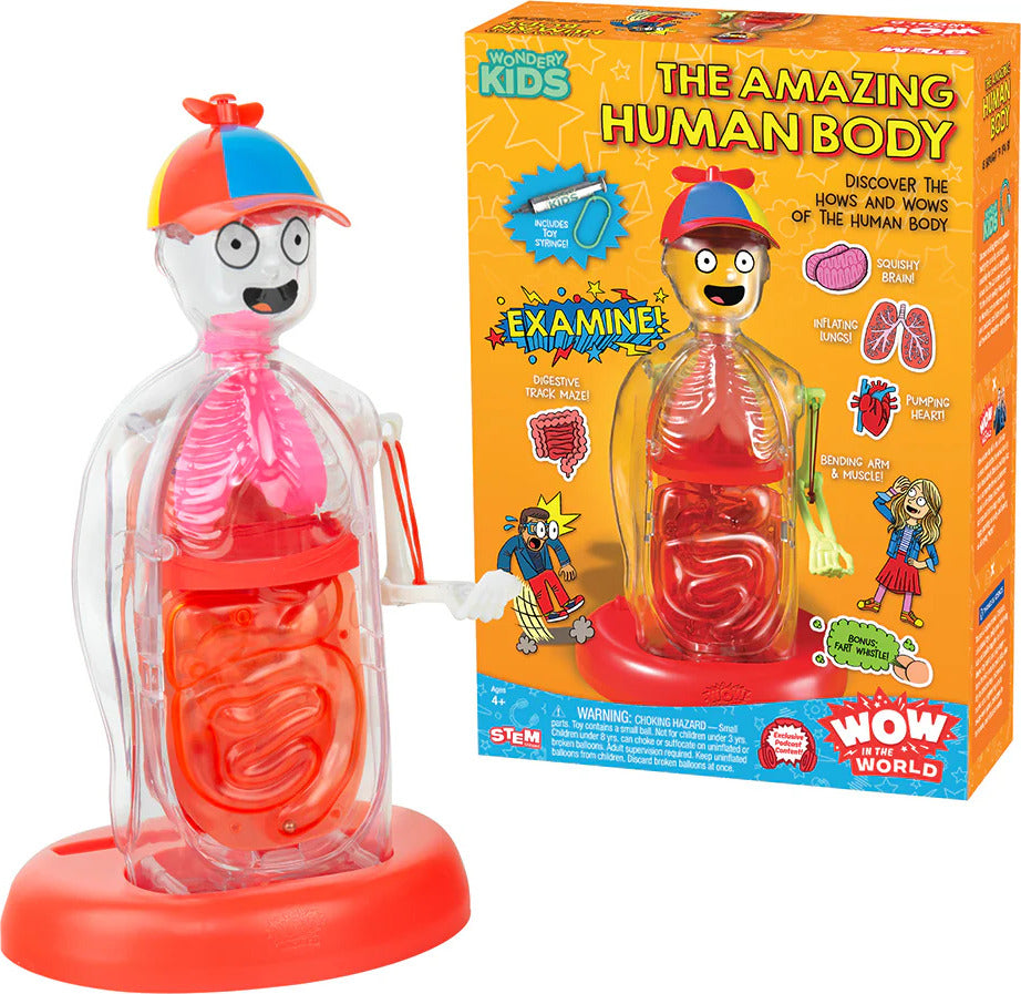 Wow in the World: The Amazing Human Body