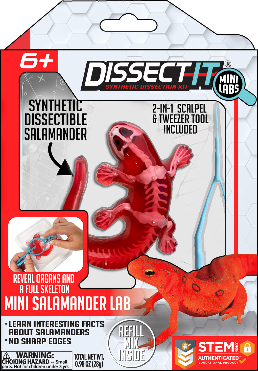 Dissect-It Salamander Mini Lab