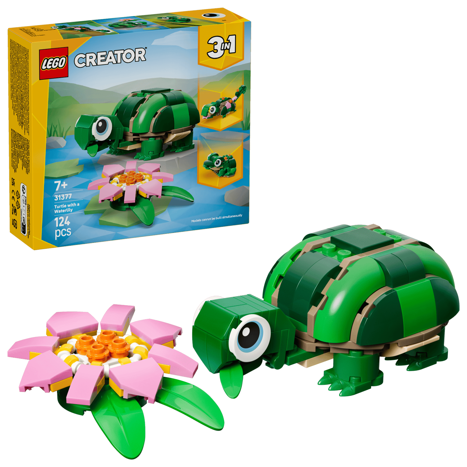 Turtle with Water Lily