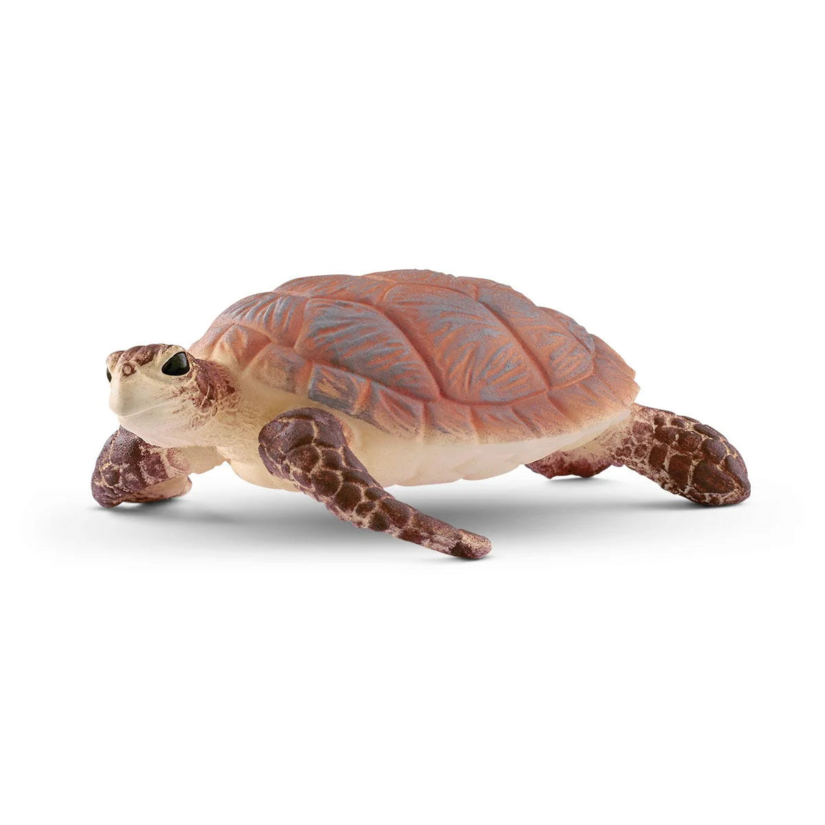 Hawksbills Sea Turtle