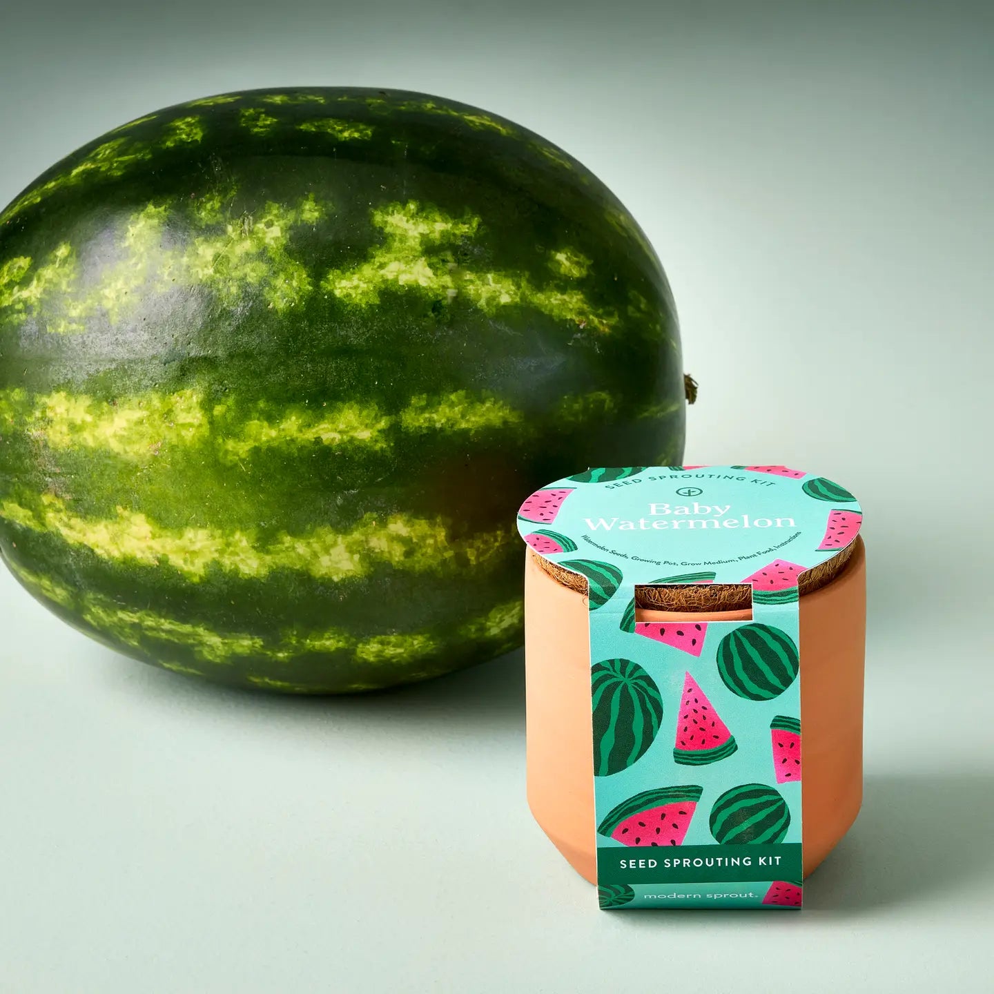 Tiny Terracotta Garden Kit- Watermelon