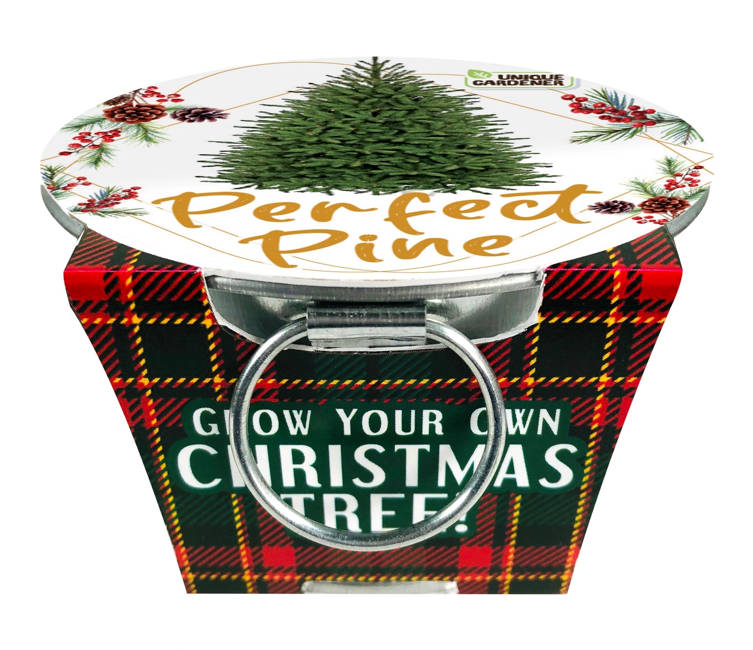 Grow Your Own Christmas Tree