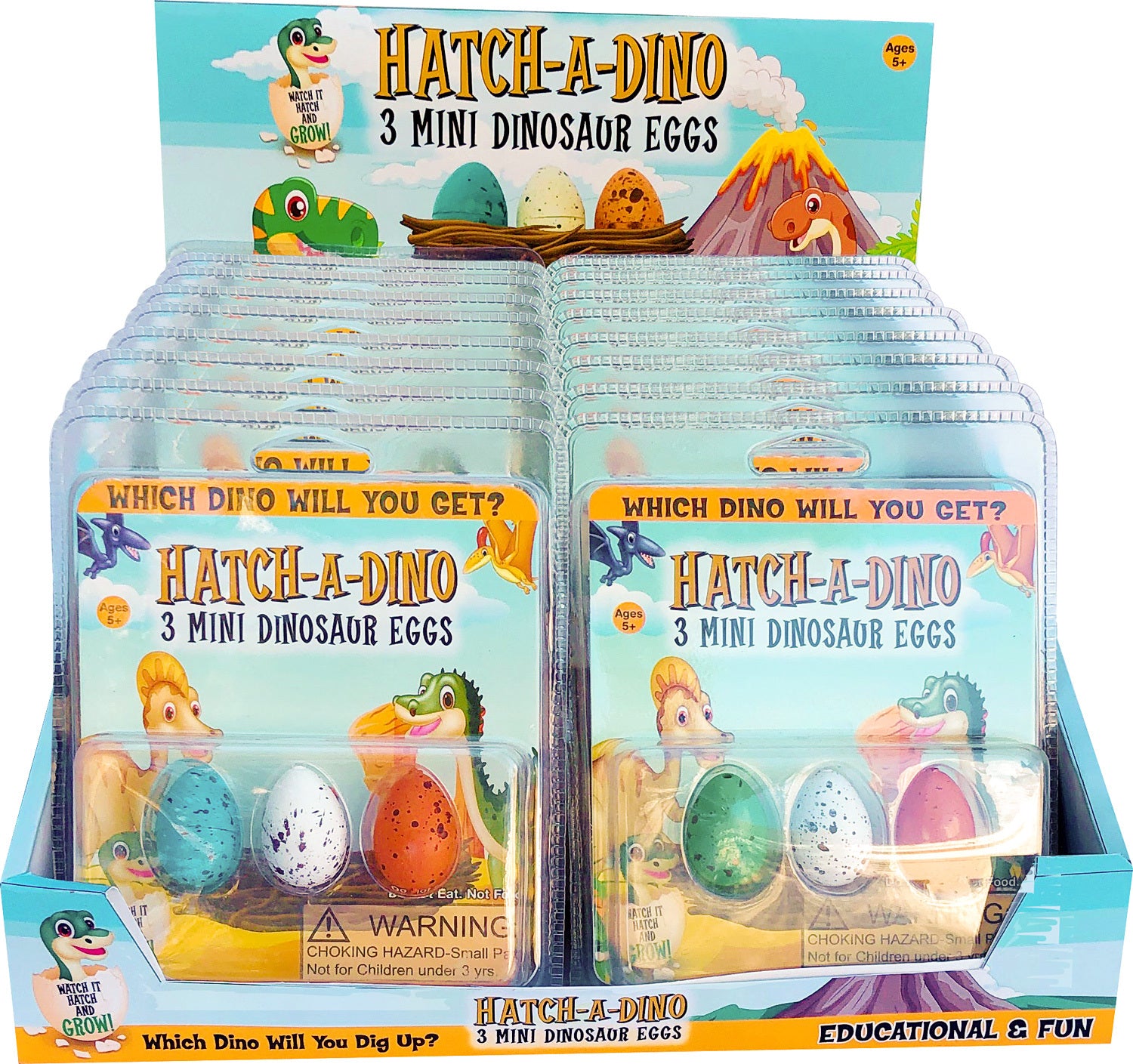 Hatch-A-Dino (assorted)