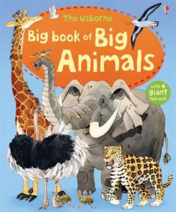 Big Book of Big Animals (IR)