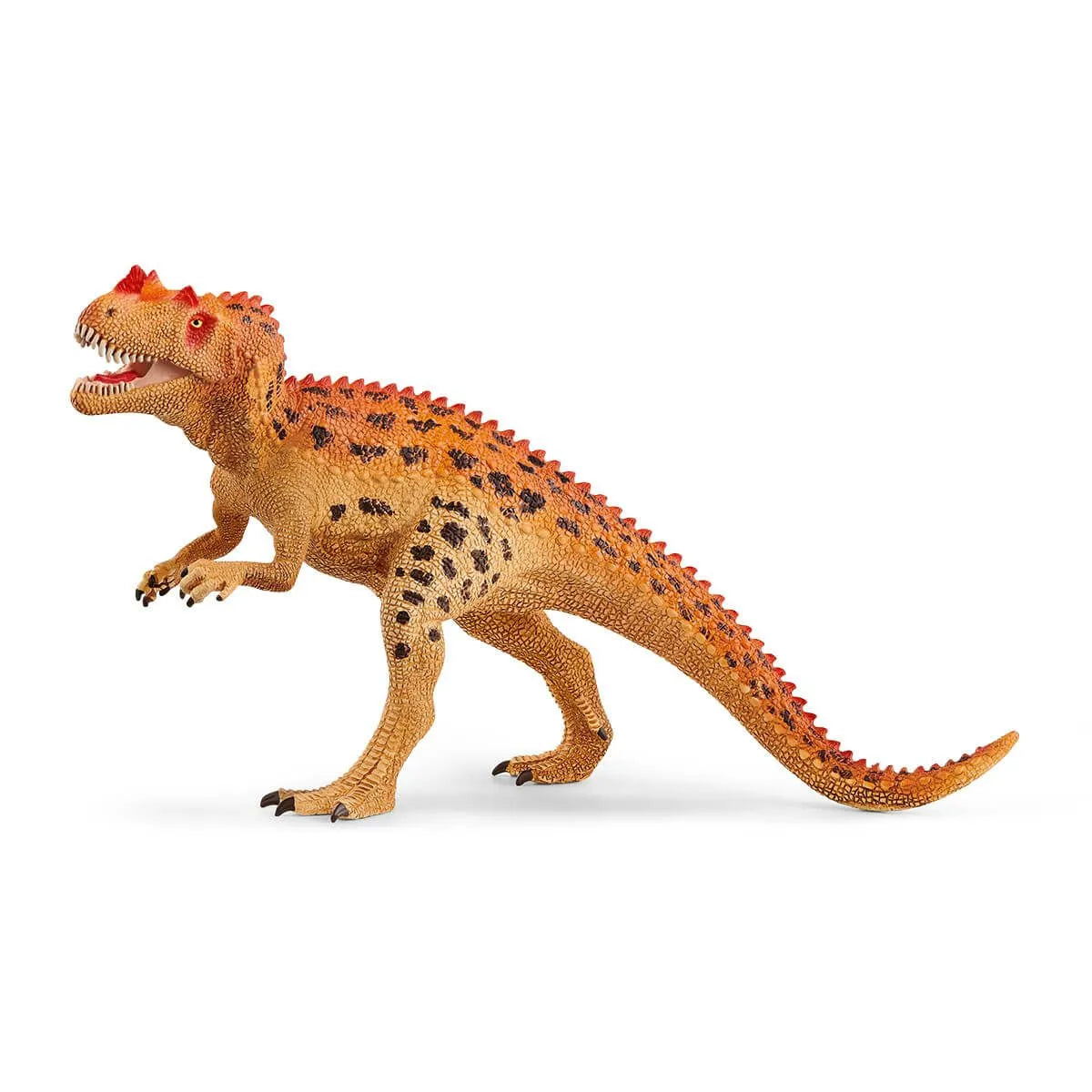 Ceratosaurus Figure