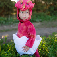Baby Dinosaur Triceratops Costume