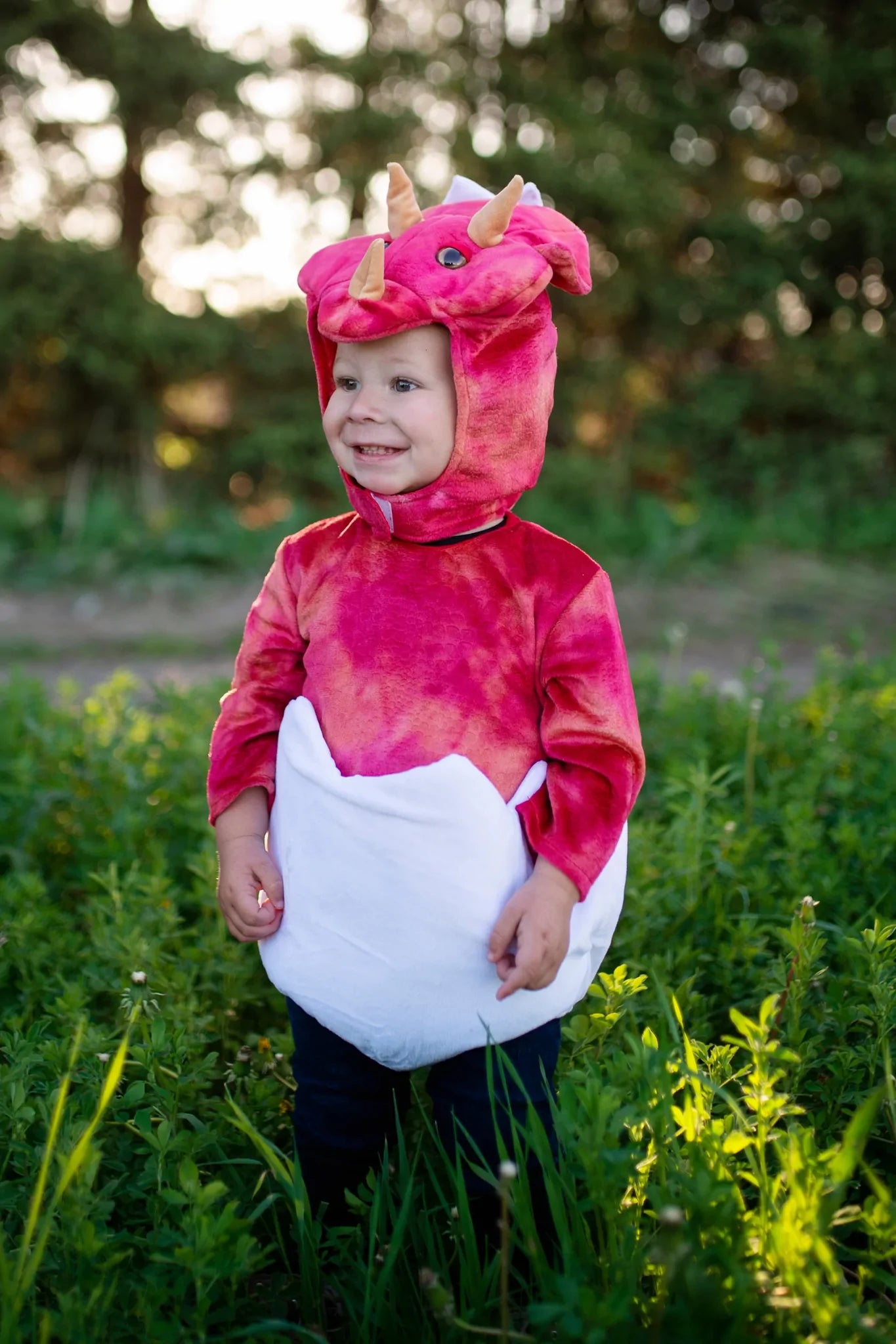 Baby Dinosaur Triceratops Costume
