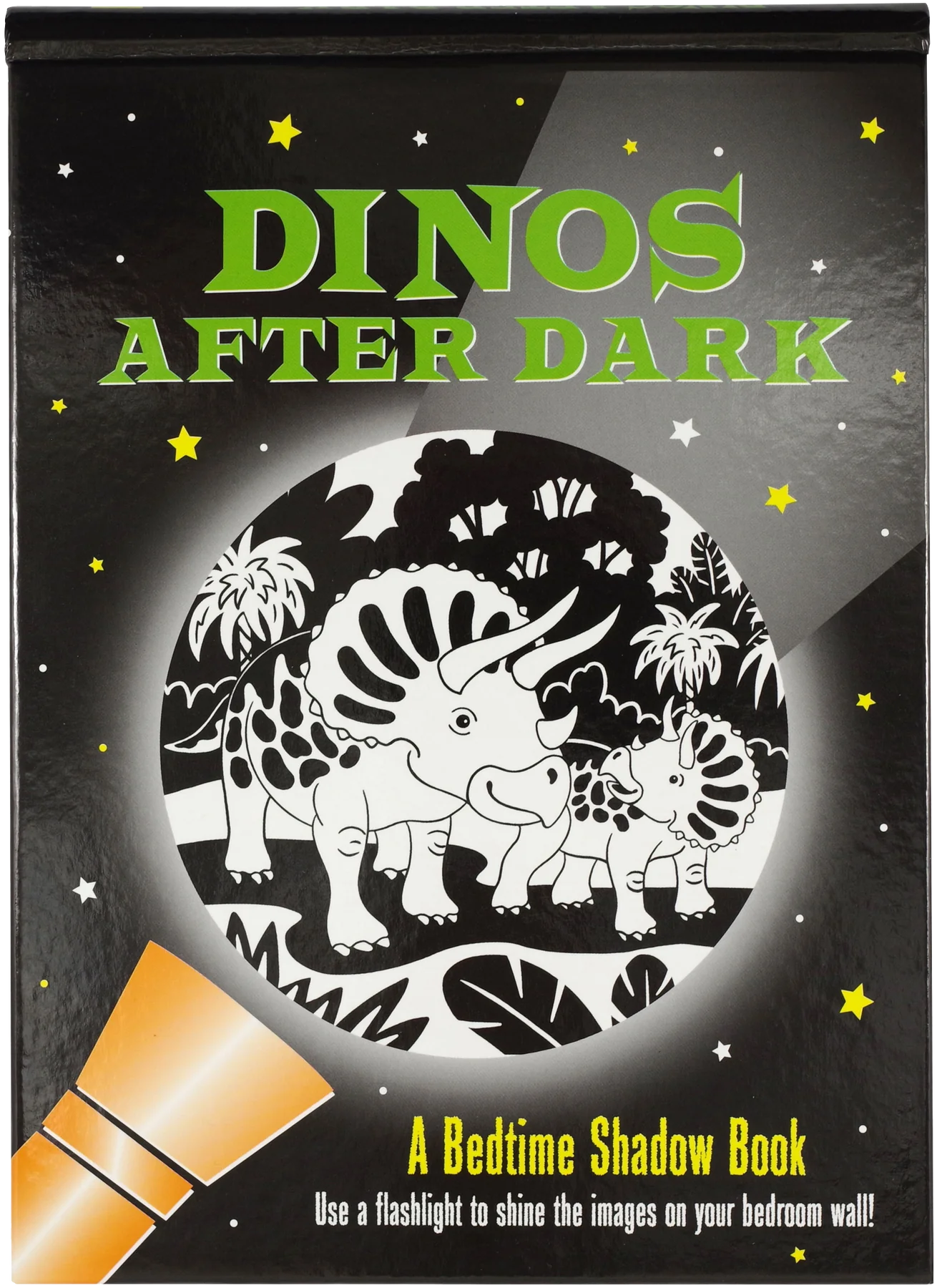 Dinos After Dark Shadow Book