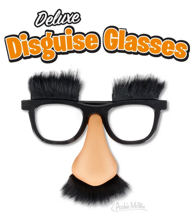 Classic Disguise Glasses