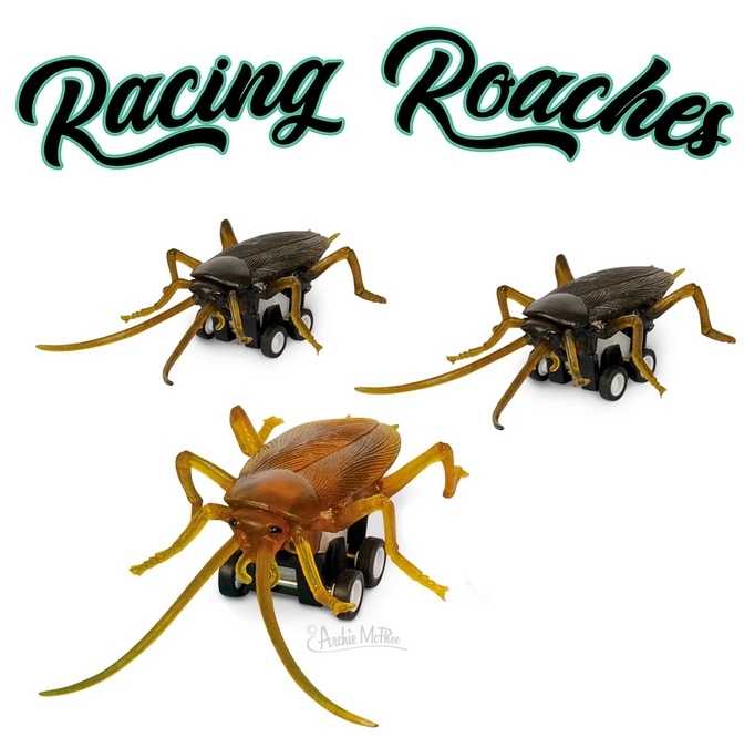 Racing Roaches