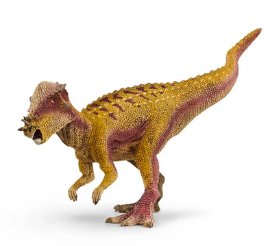 Pachycephalosaurus