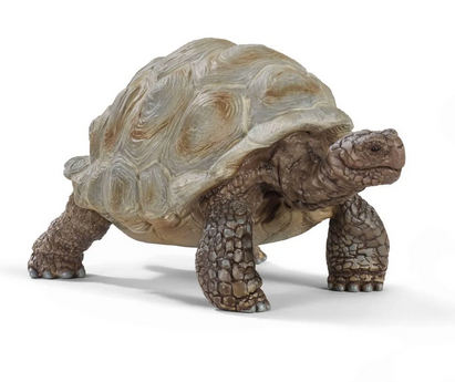 Giant Tortoise Figure