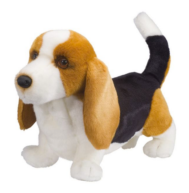 Harold Basset Hound