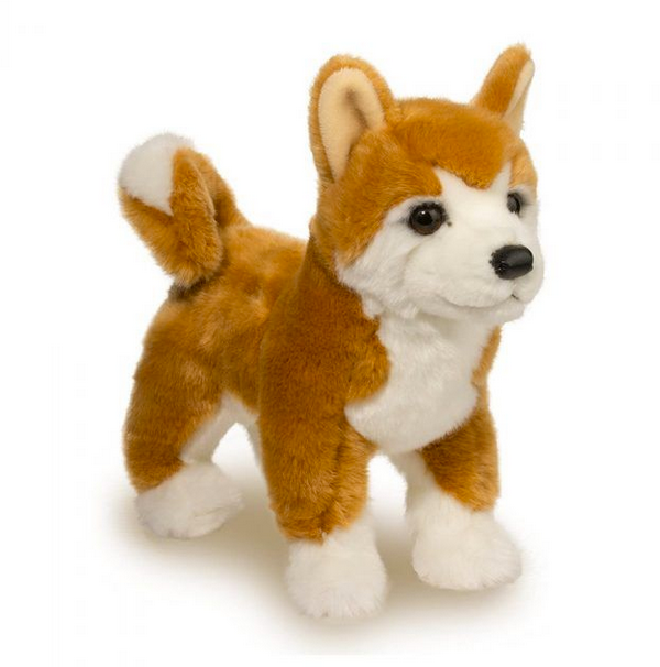 Dunham Shiba Inu