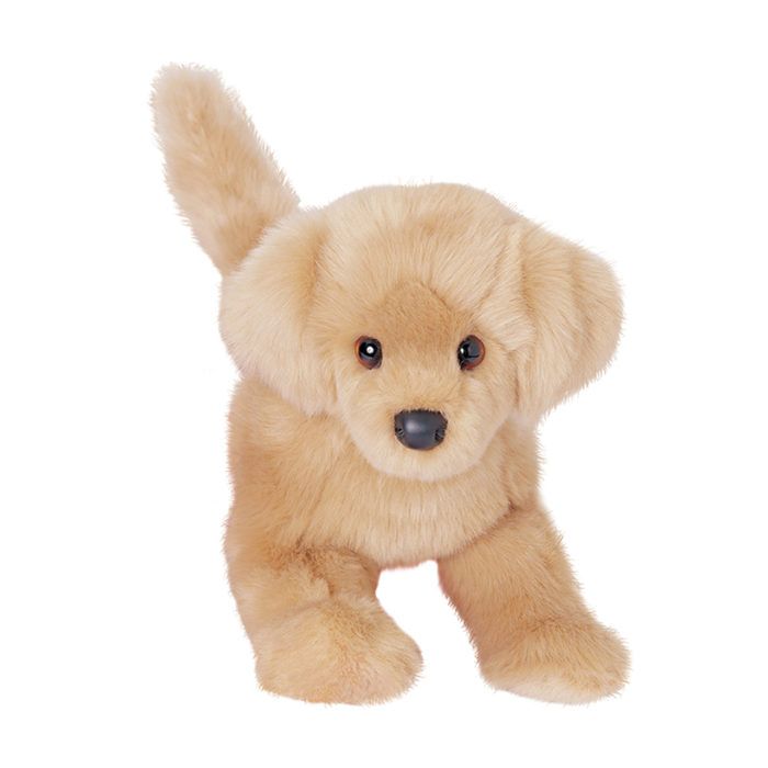 Bella Golden Retriever