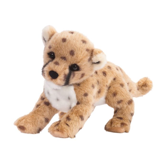 Cheetah Cub