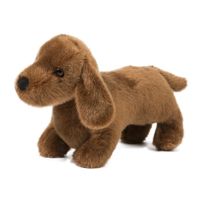 Dilly Dachsund