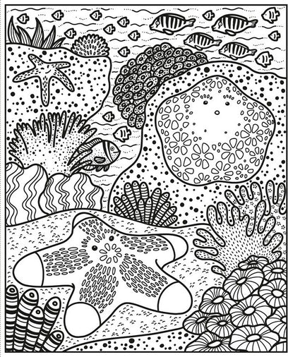 Coral Reef Magic Painting Book