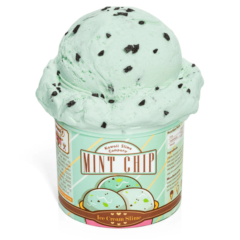 Mint Chip Ice Cream Pint Slime