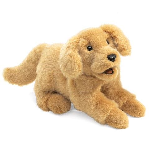 Golden Retreiver Puppy Puppet