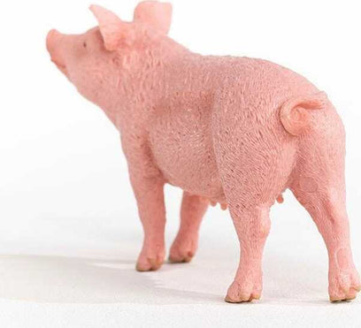 Pig