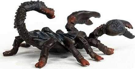 Emperor Scorpion