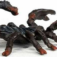 Emperor Scorpion