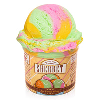 Sherbet Ice Cream Pint Slime